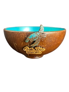 Turismo/Bowl de coco 3D Color/Tortuga