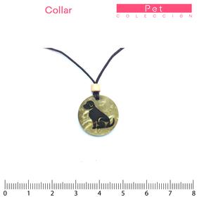 Pet/Collar 23mm/Perro