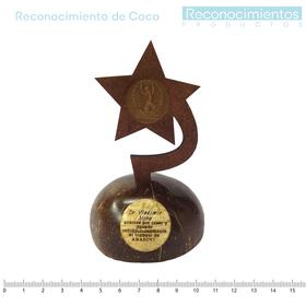 Reconocimiento de Coco 15cm altura