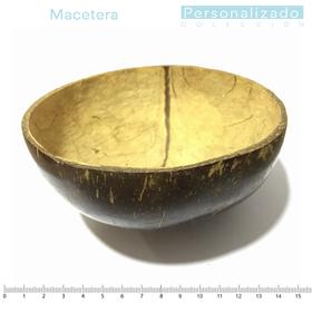Surtido/H/Maceta de coco pulido entre 10 y 14cm diámetro