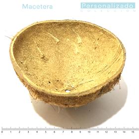 Surtido/H/Maceta de coco natural entre 10 y 14cm diámetro